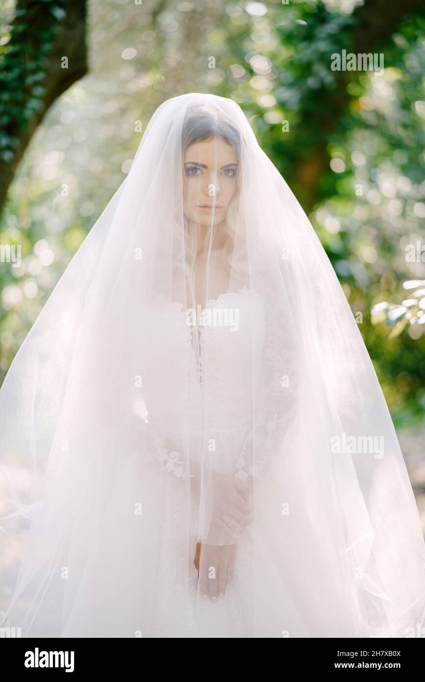 Bride in a white lace dress with veil stands against the background of ...