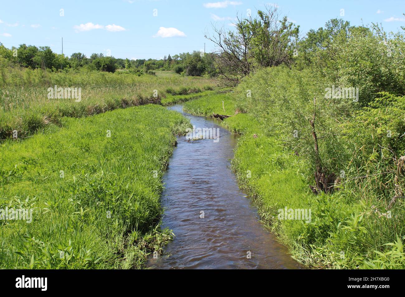 Brewster Creek on sunny day at James Pate Philip State Park in Bartlett, Illinois Stock Photo