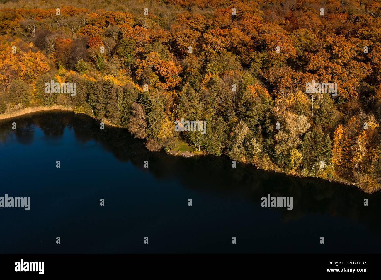 Aerial view of an autumn colored forest on a bank to a blue lake Stock Photo