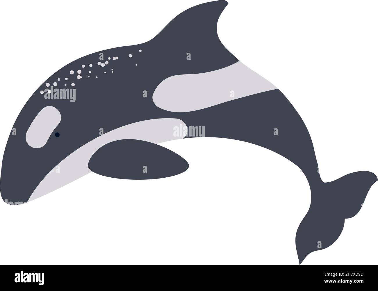 killer whale icon Stock Vector Image & Art Alamy