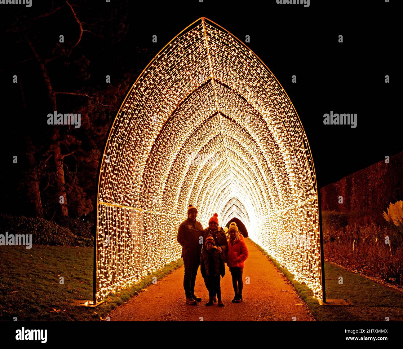 Edinburgh Royal Botanic Gardens, Scotland, UK. 25th November 2021