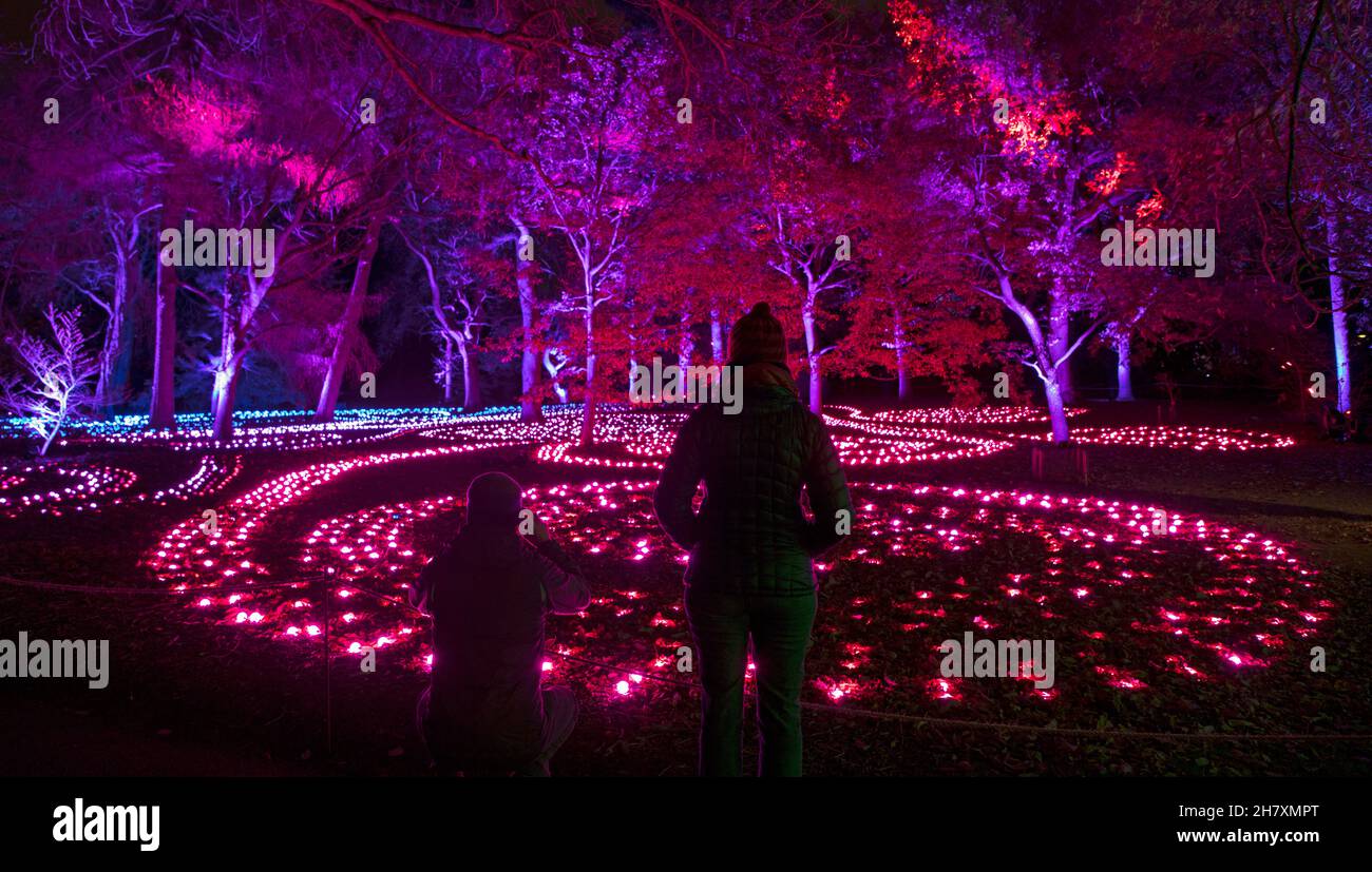 Edinburgh Royal Botanic Gardens, Scotland, UK. 25th November 2021