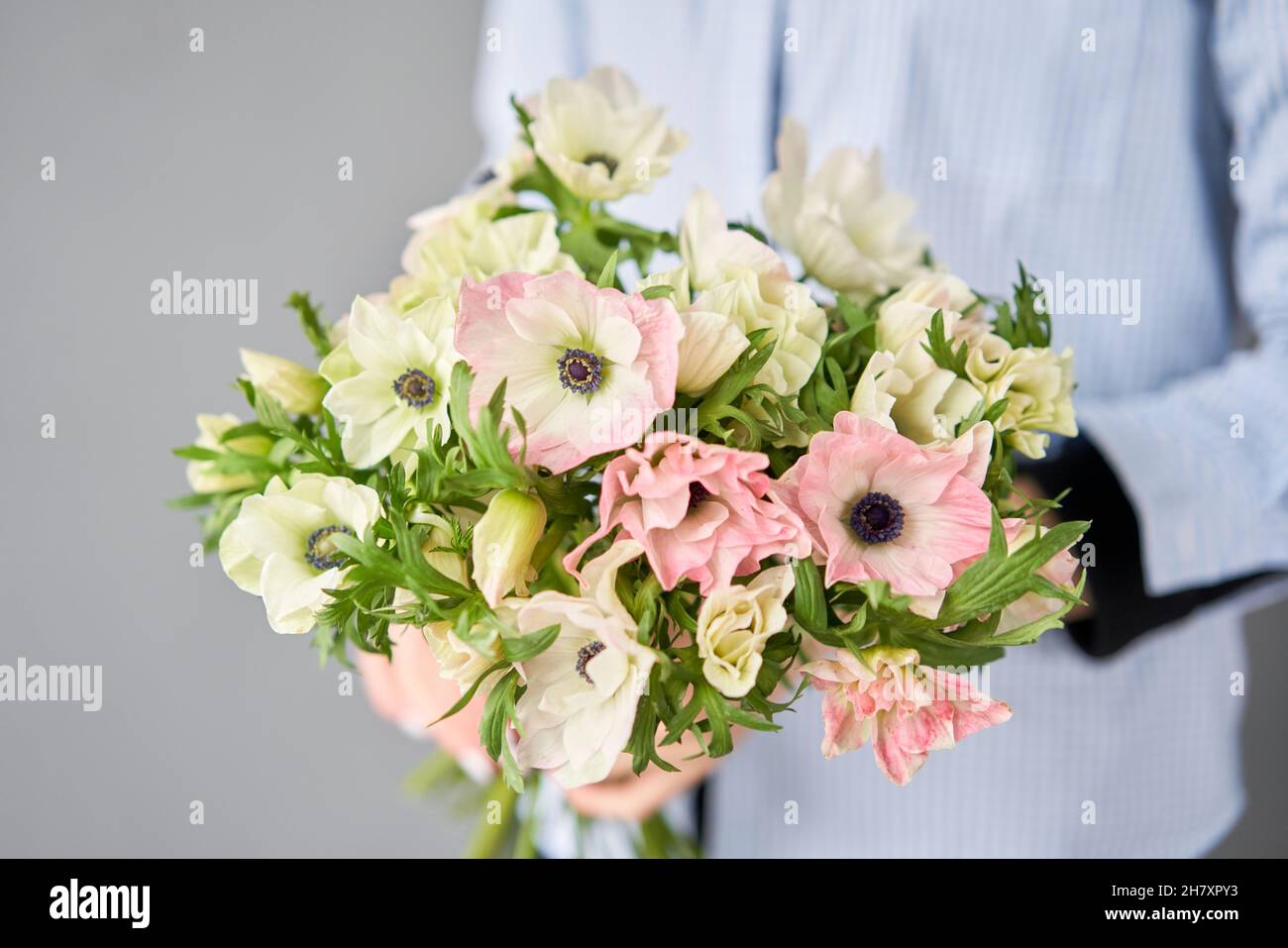 Beautiful bouquet of pink anemones in woman hand. the work of the florist at a flower shop. A small family business Stock Photo