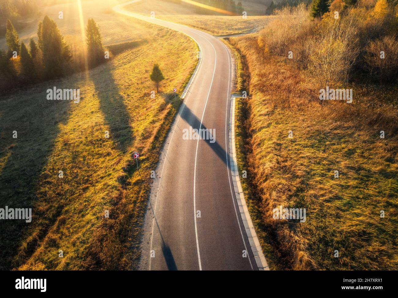 Aerial view of mountain road in forest at sunset in autumn Stock Photo