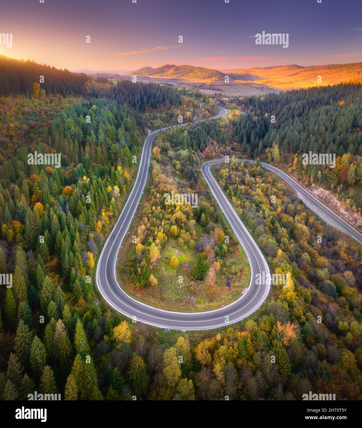 Aerial view of mountain road in forest at sunset in autumn Stock Photo ...