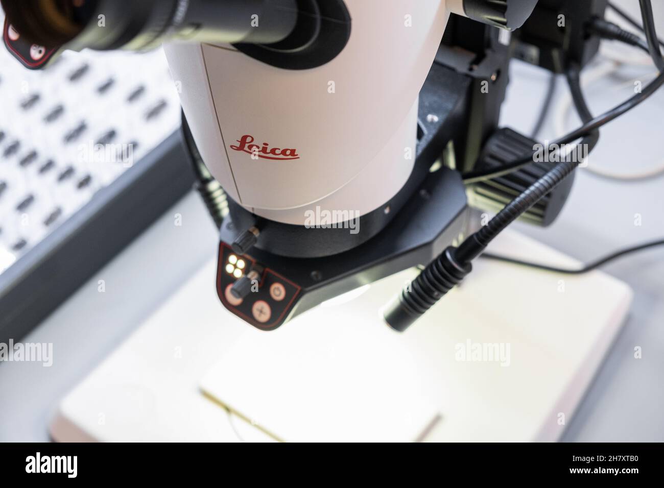 Leica microscope for biochemical, cell biology analysis with specimens on the background, November 2021, San Francisco, USA. Stock Photo