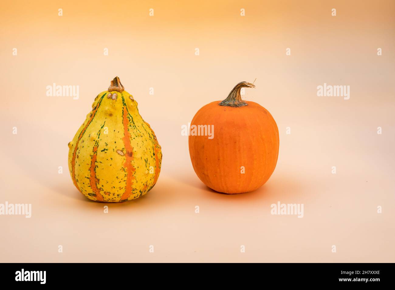 Two decorative pumpkins isolated against a beige background Stock Photo