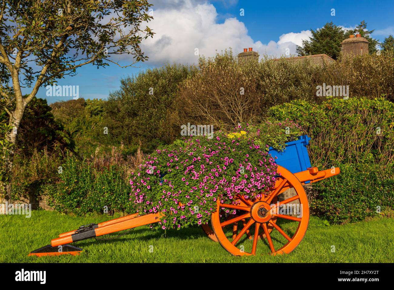 Wagon full of flowers, Louisburgh, County Mayo, Ireland Stock Photo