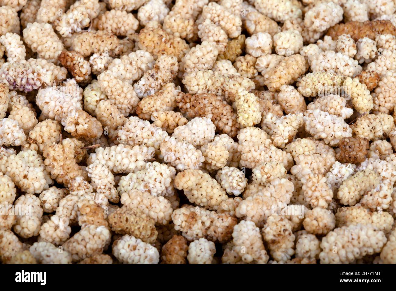 Dried mulberry fruits background and texture,top view Stock Photo Alamy