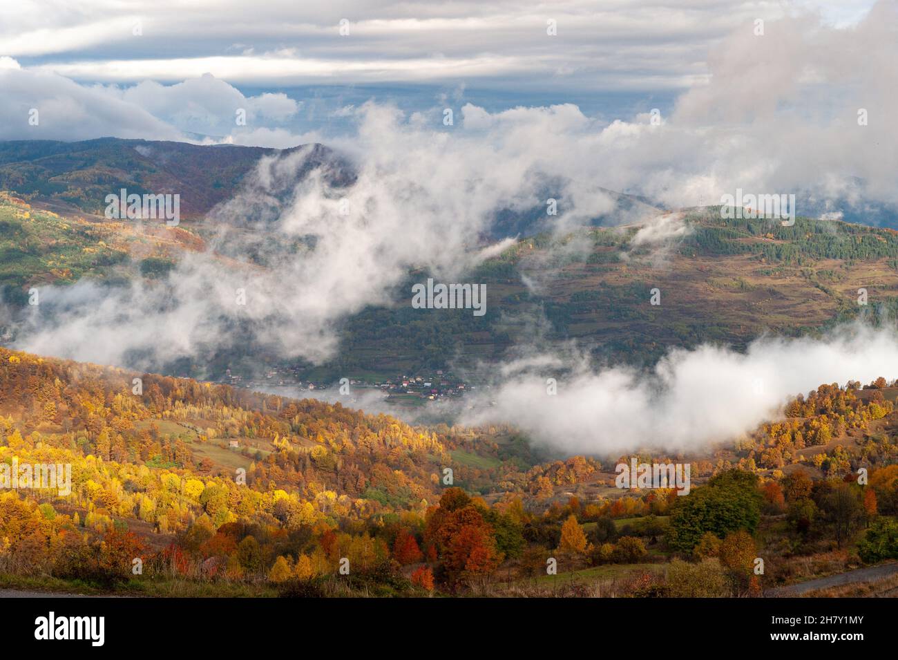 autumn landscape with morning fogs in dumesti, romania Stock Photo - Alamy