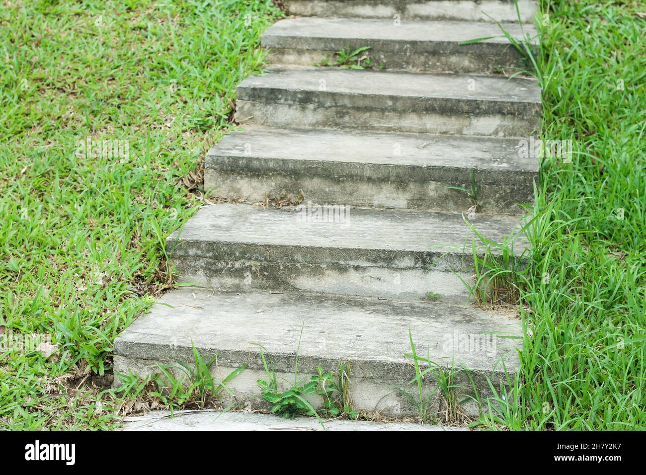 Stone steps in an area with abundant green grass during the rainy season. Stock Photo