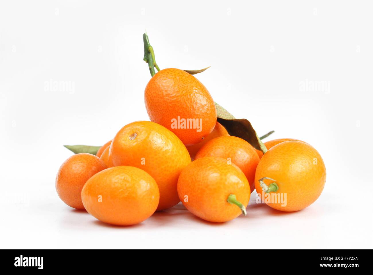 Pile of orange kumquats isolated on white background. Juicy fruit Stock