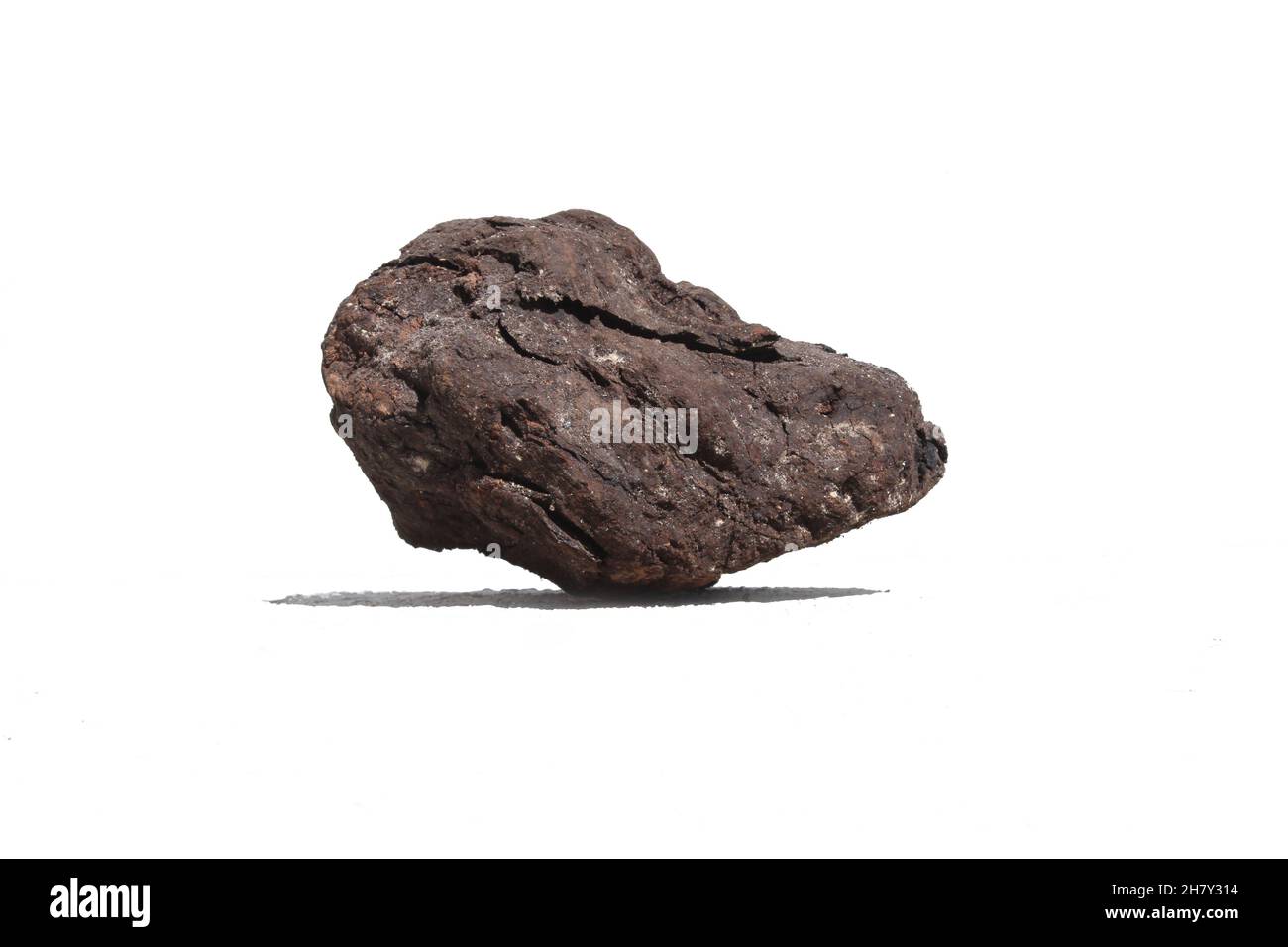 Single piece of coal isolated on white background. Natural organic charcoal Stock Photo