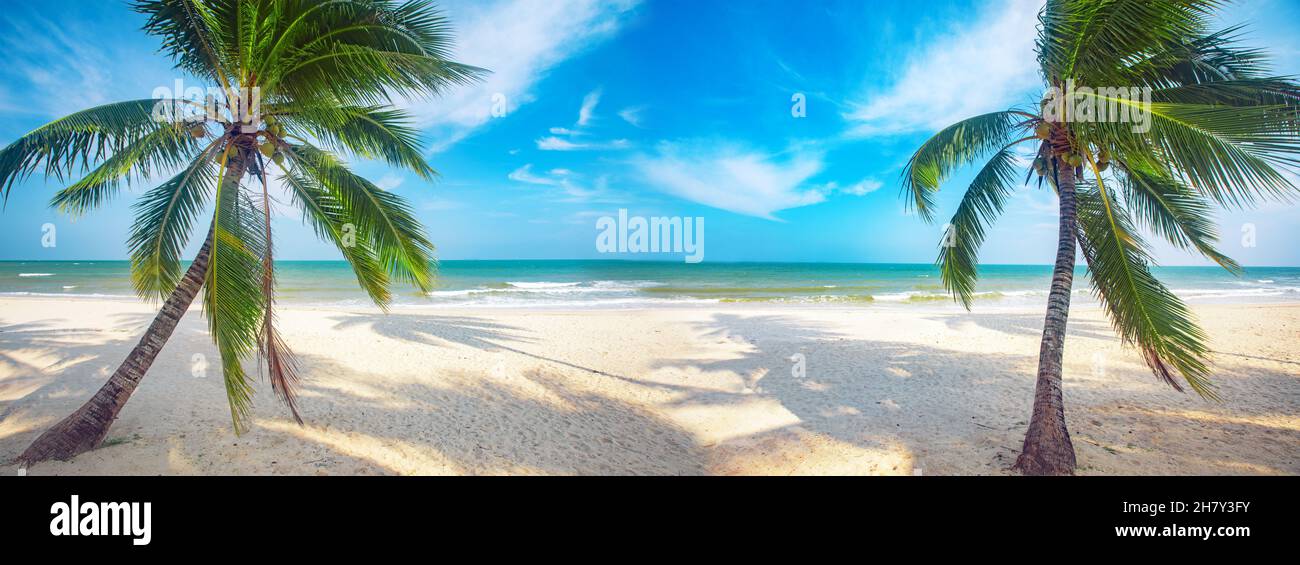 panorama of tropical beach with coconut palm trees Stock Photo