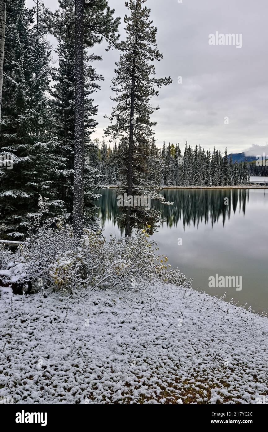 A vertical image of Jarvis Lake in Switzer park in rural Alberta Canada on a fresh snowfall day. Stock Photo