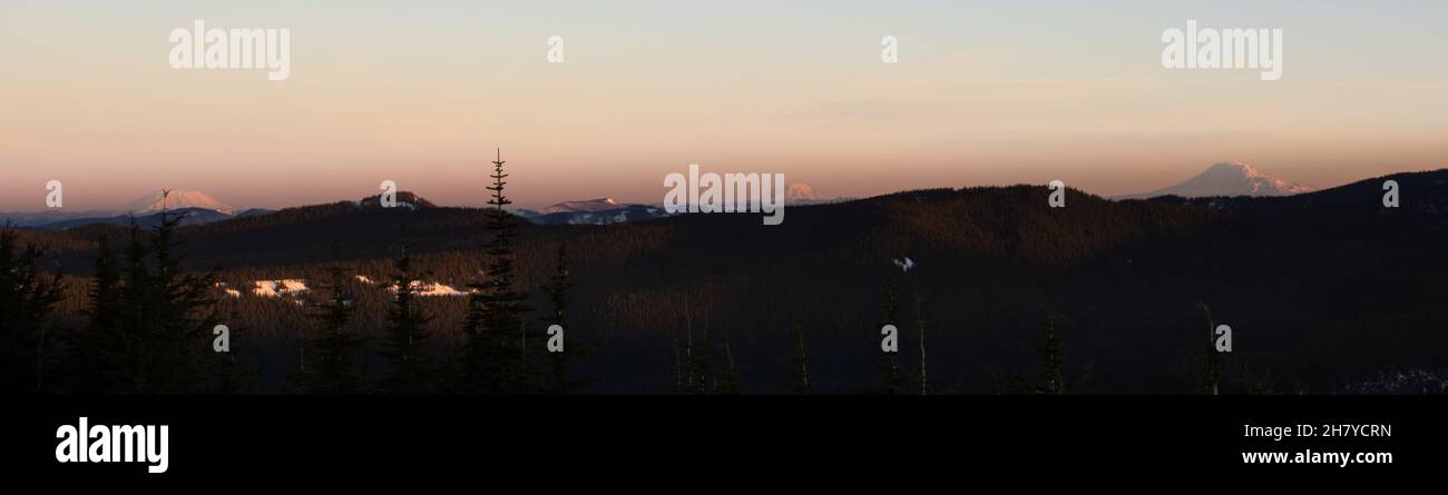 Panoramic view of three snow-capped mountains in the foreground of forest hills in sunset, Mount Hood National Forest Stock Photo
