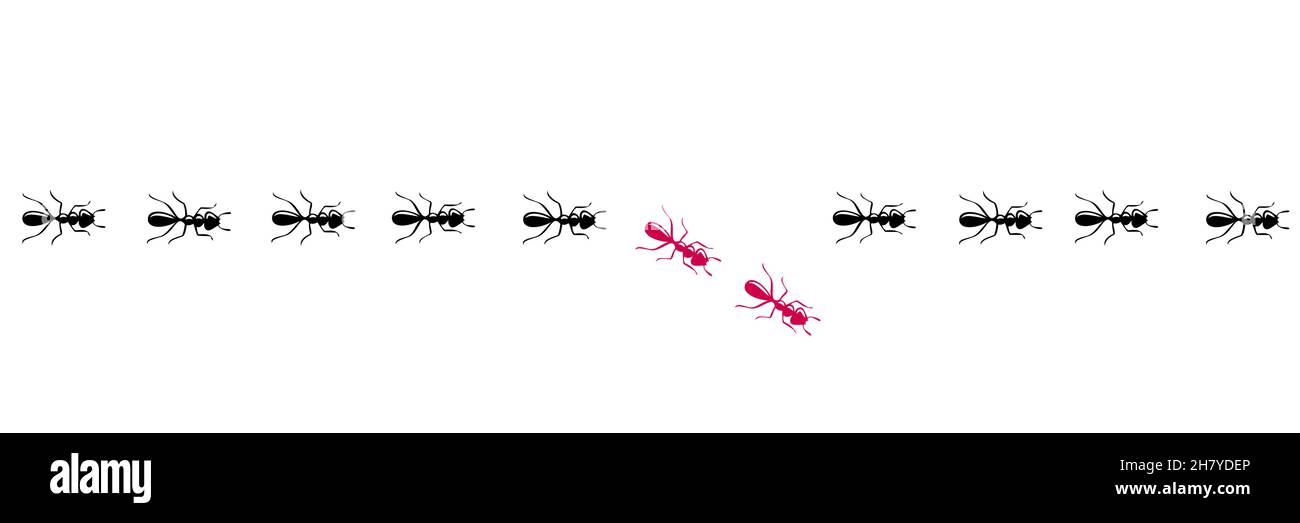 Ants trail with a changer. Think different and be unique concept. Vector illustration isolated in white background Stock Vector