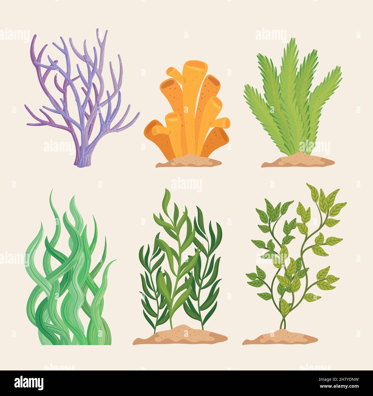 set of algaes plants Stock Vector Image & Art - Alamy