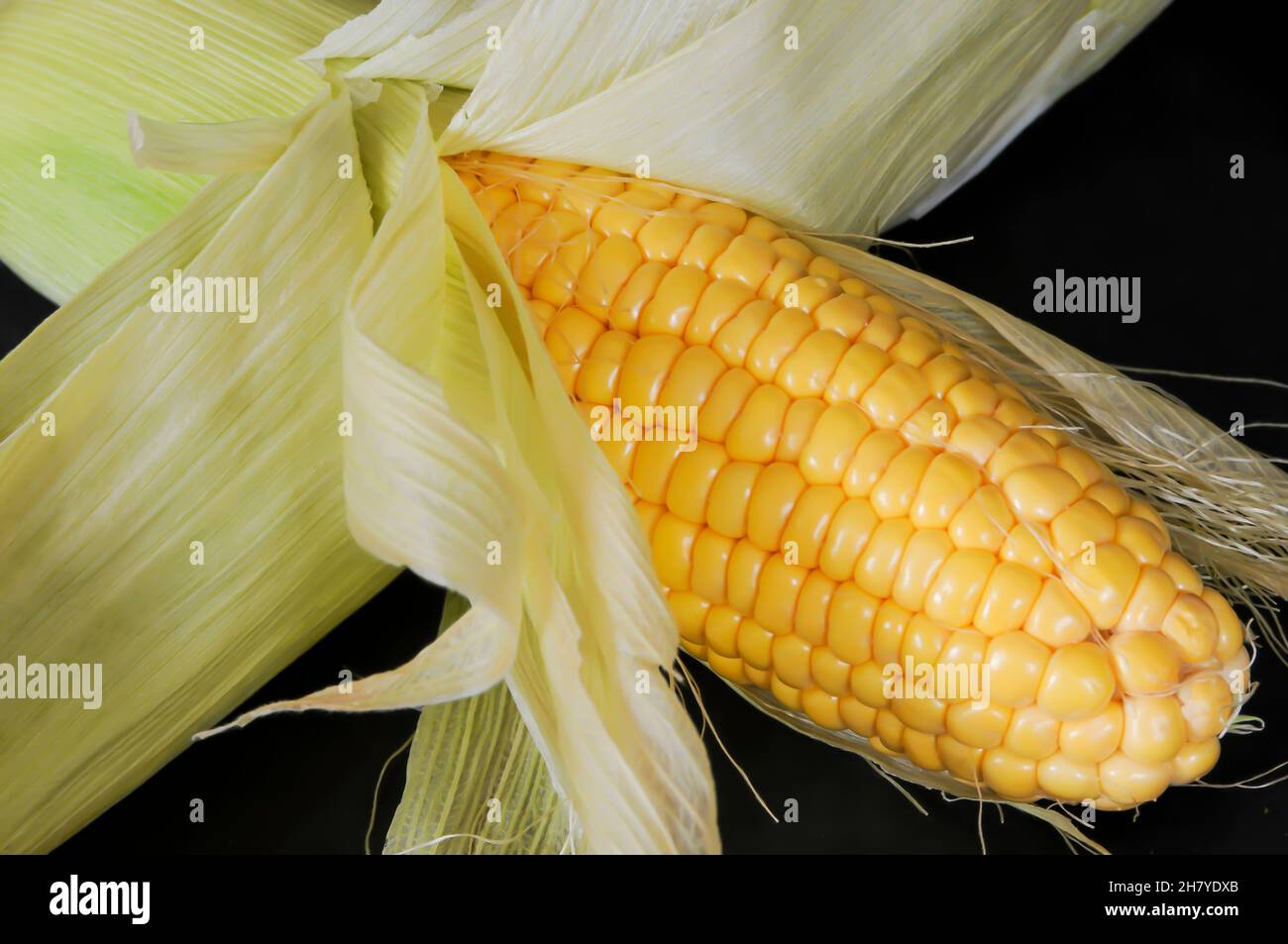 Corn husk studio hires stock photography and images Alamy