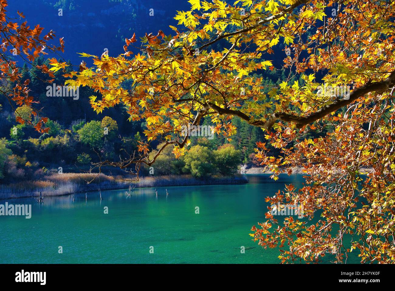 Beautiful lake in autumn with colorful tree leaves Stock Photo