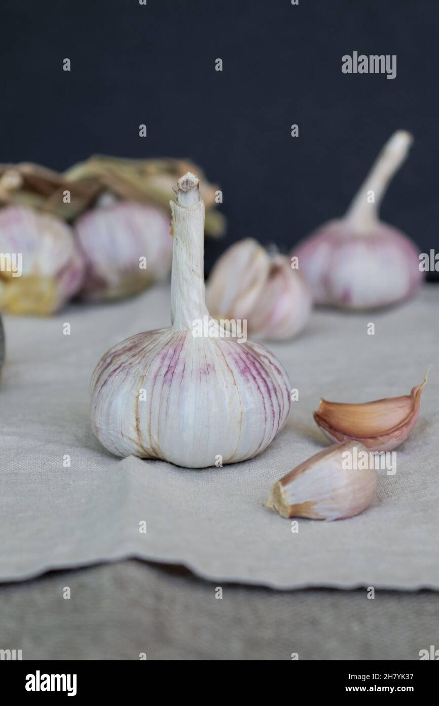Garlic bulb and clove on textile background Stock Photo Alamy