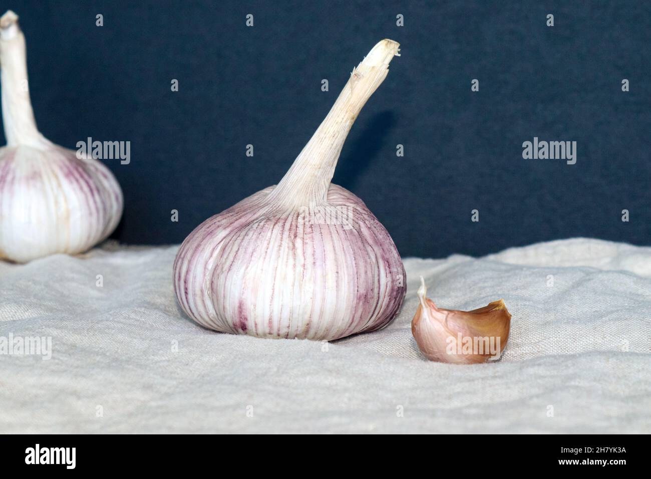Garlic bulb and clove on textile background Stock Photo Alamy