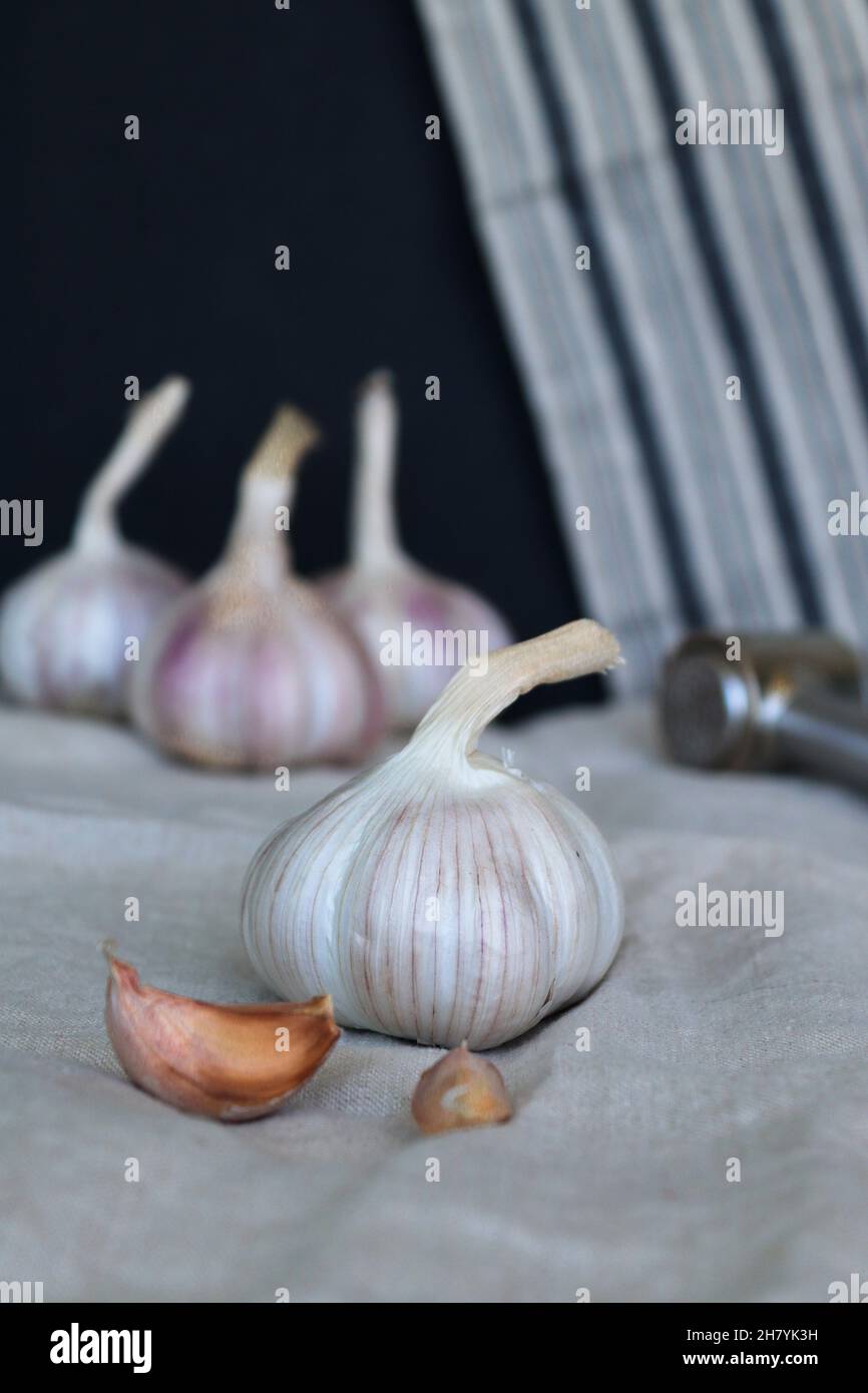 Garlic bulb and clove on textile background Stock Photo Alamy