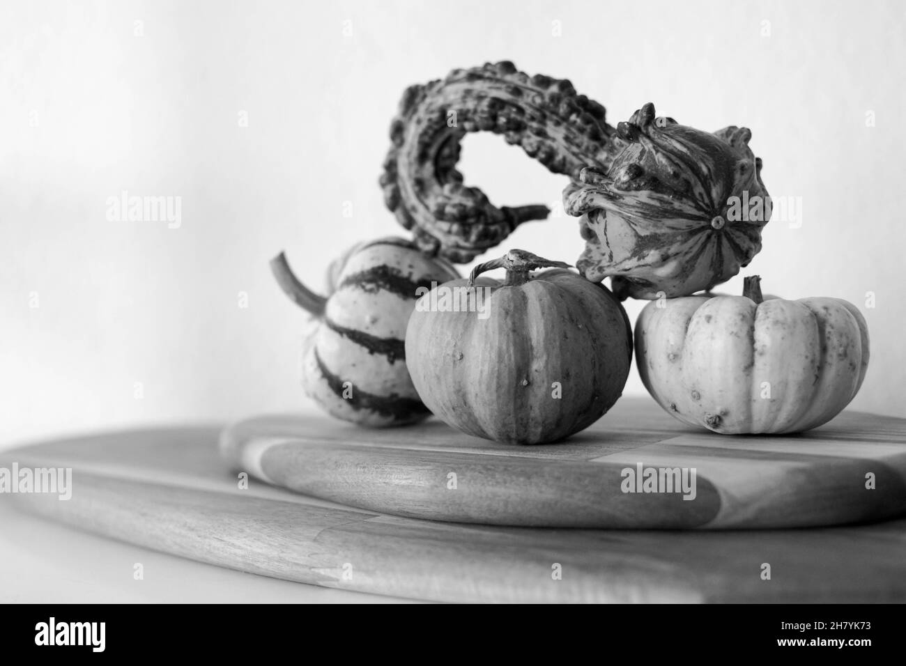 a selection of mini pumpkin decorations standing on a wooden chopping board monochrome Stock Photo