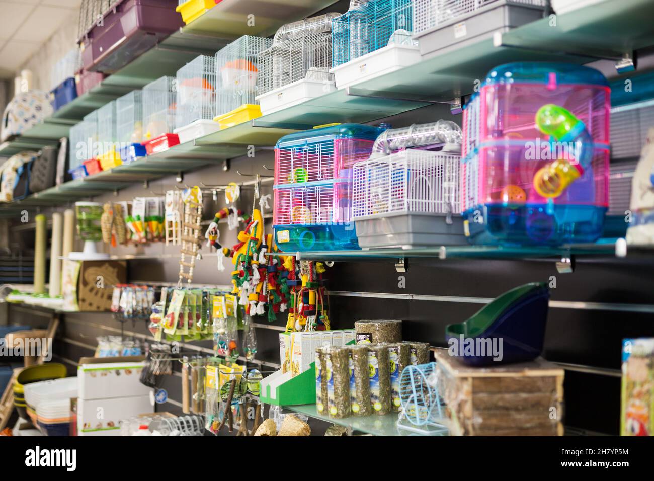 Cages for birds and hamsters in pet shop Stock Photo Alamy