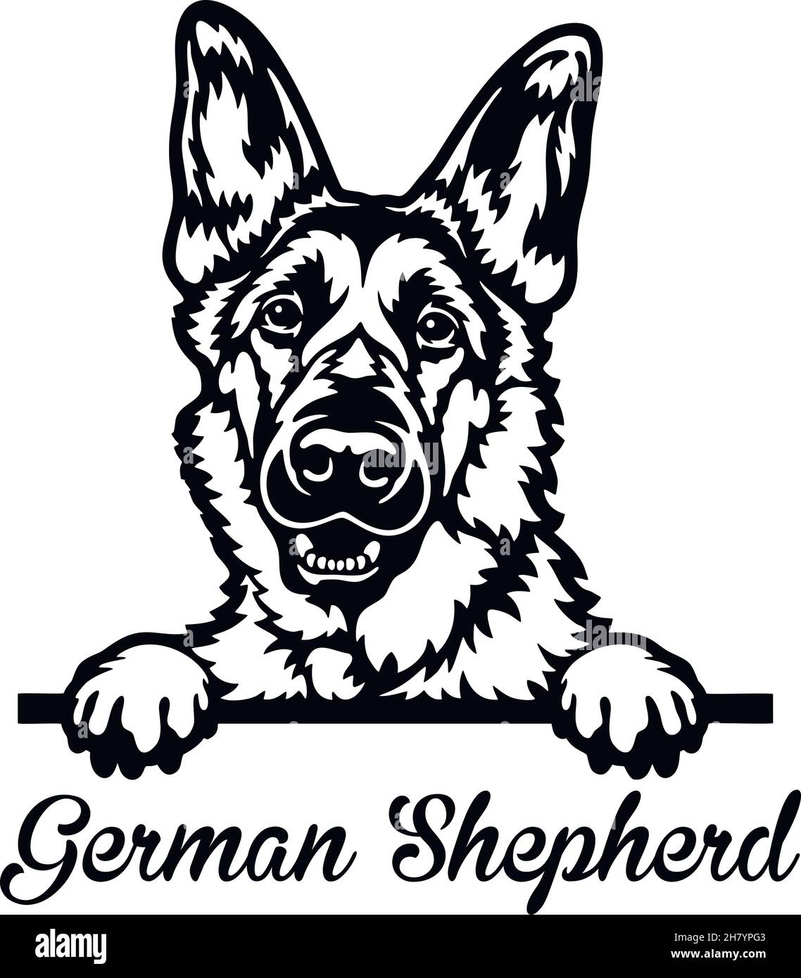 German shepherd dog drawing clipart Stock Vector Images - Page 2 - Alamy, image size:1138x1390