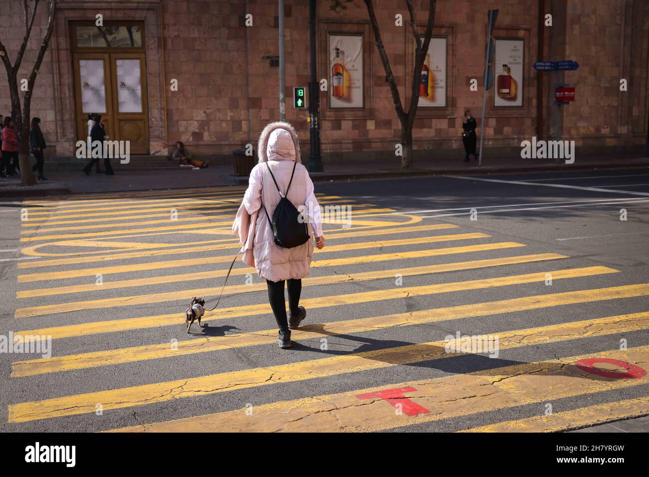 Jerewan, Armenia. 14th Nov, 2021. A woman walks her small dog through a crosswalk downtown. Credit: Christian Charisius/dpa/Alamy Live News Stock Photo