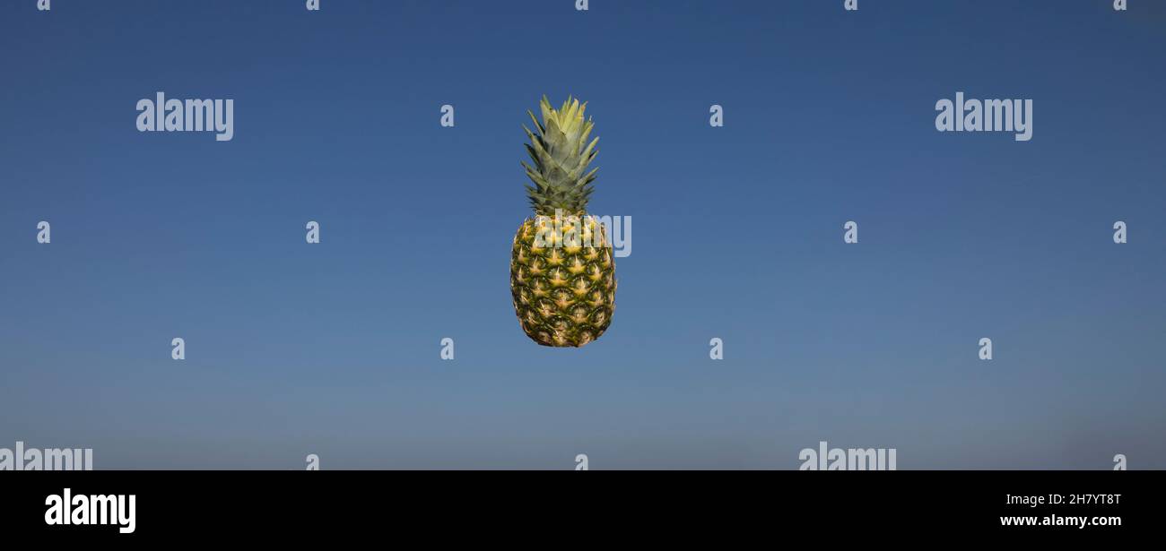 Pineapple air hires stock photography and images Alamy