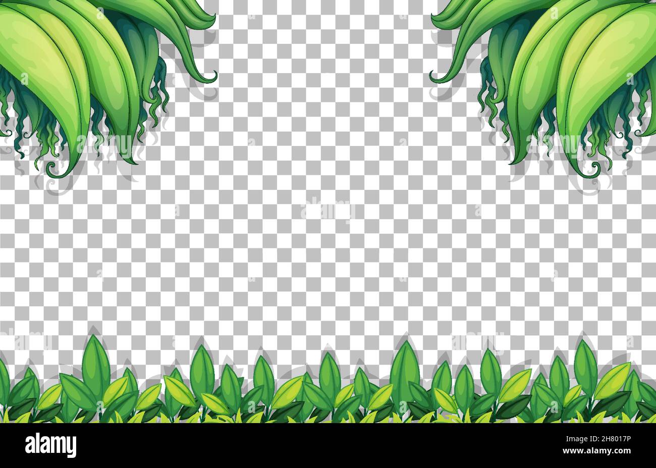 Various tropical leaves on transparent background illustration Stock ...