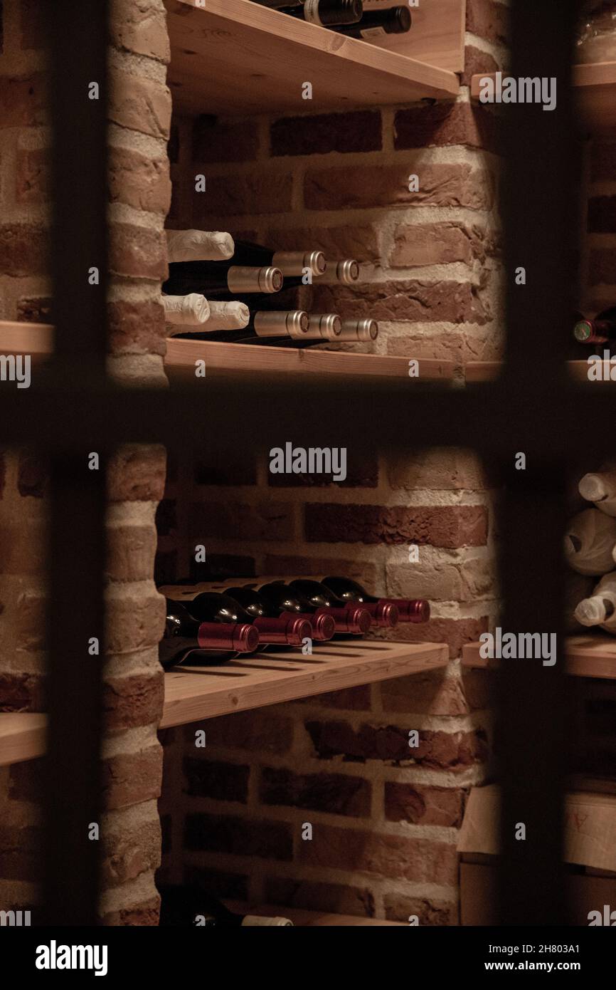 Bottles of various wine placed on wooden shelves in illuminated storage
