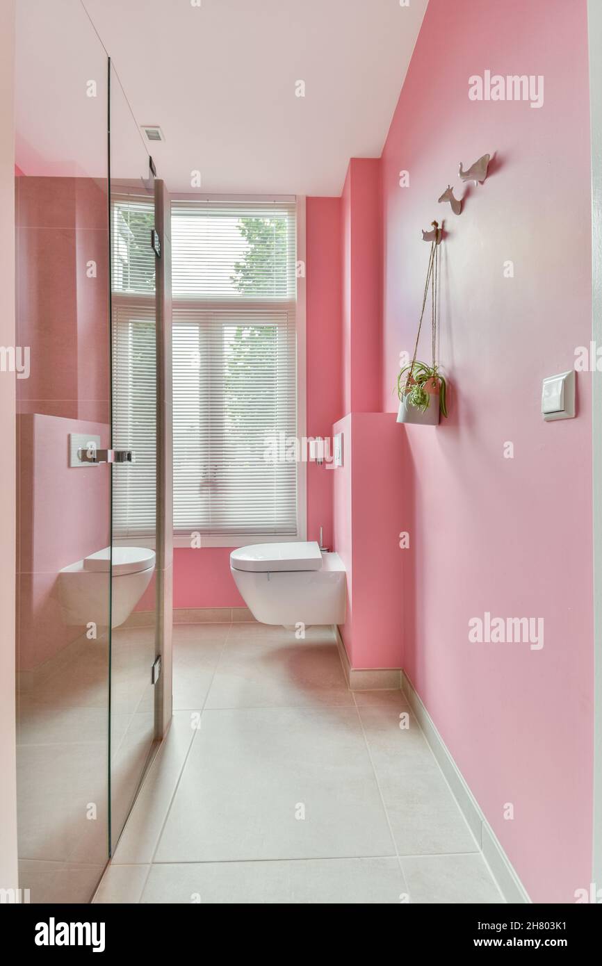 Narrow passage leading to toilet bowl and glass shower cabin in