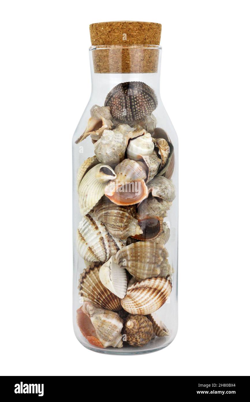 Seashells in a glass jar on white background. Summer holiday concept. Stock Photo
