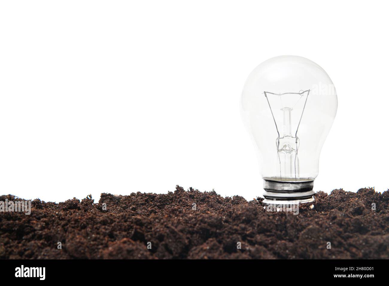 Incandescent light bulb sticking out of the soil. Alternative energy concept. Stock Photo
