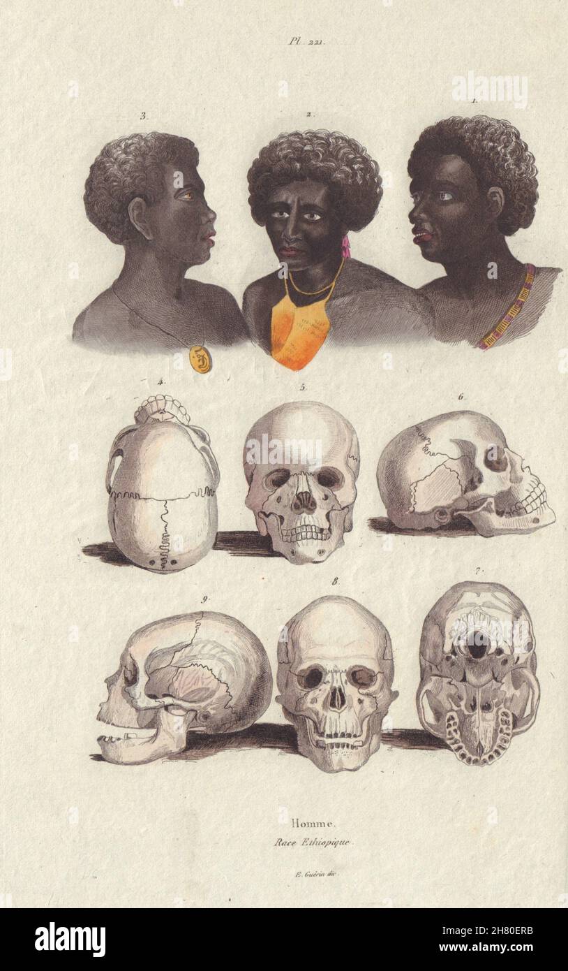 ETHIOPIAN RACE. Homme. Races Ethiopique. East Africa III 1833 old print Stock Photo