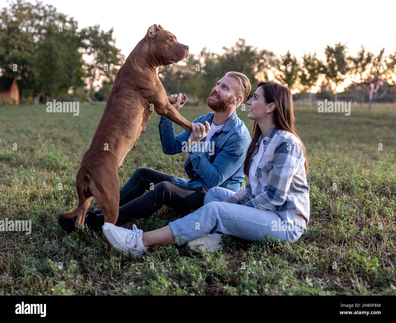 Cute young couple with a dog Stock Photo - Alamy