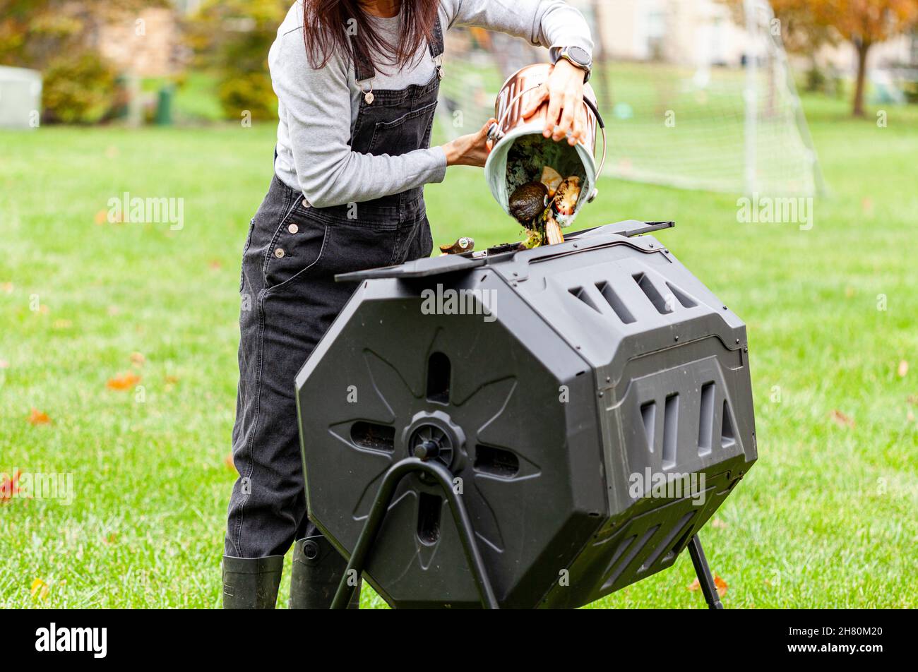 A woman is dumping a small bin of kitchen scraps into an outdoor tumbling composter in backyard garden. These plastic units with metal legs can turn a Stock Photo