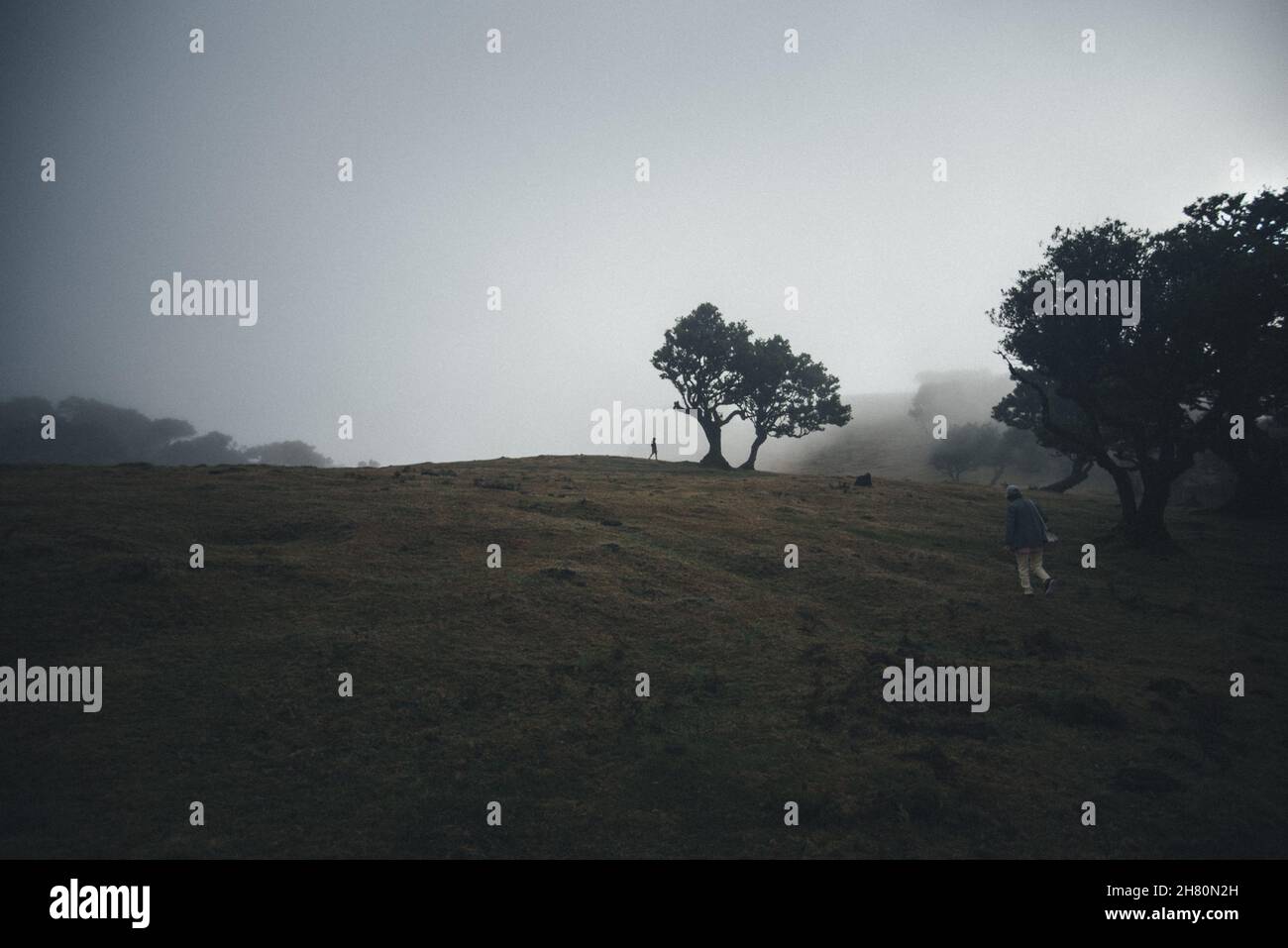 Natural landscape of a hill under a foggy sky Stock Photo - Alamy