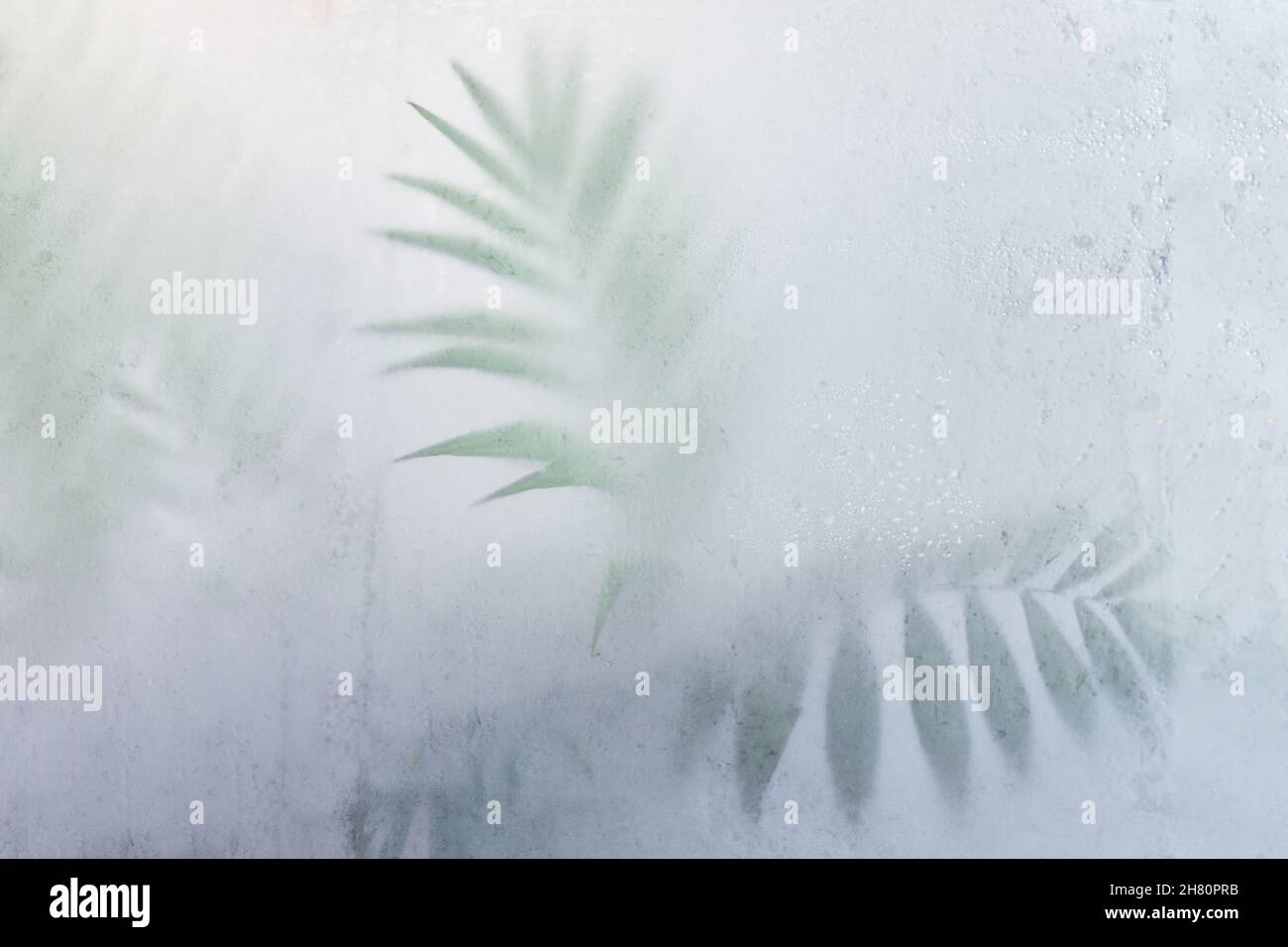 green palm leaves behind frosted glass, fog effect Stock Photo Alamy