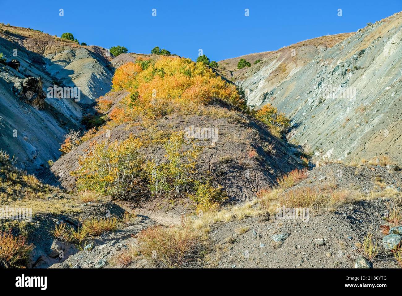 Vegetation Protects The Soil From Erosion Stock Photo Alamy Vegetation Protects The Soil From Erosion Stock Photo Alamy