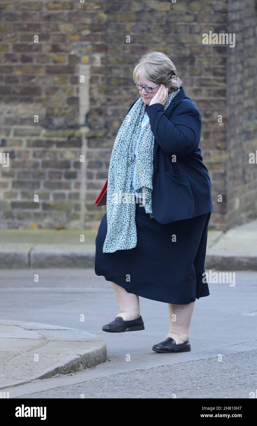 Thérèse Coffey MP - Secretary of State for Work and Pensions - in Downing Street, November 2021 Stock Photo