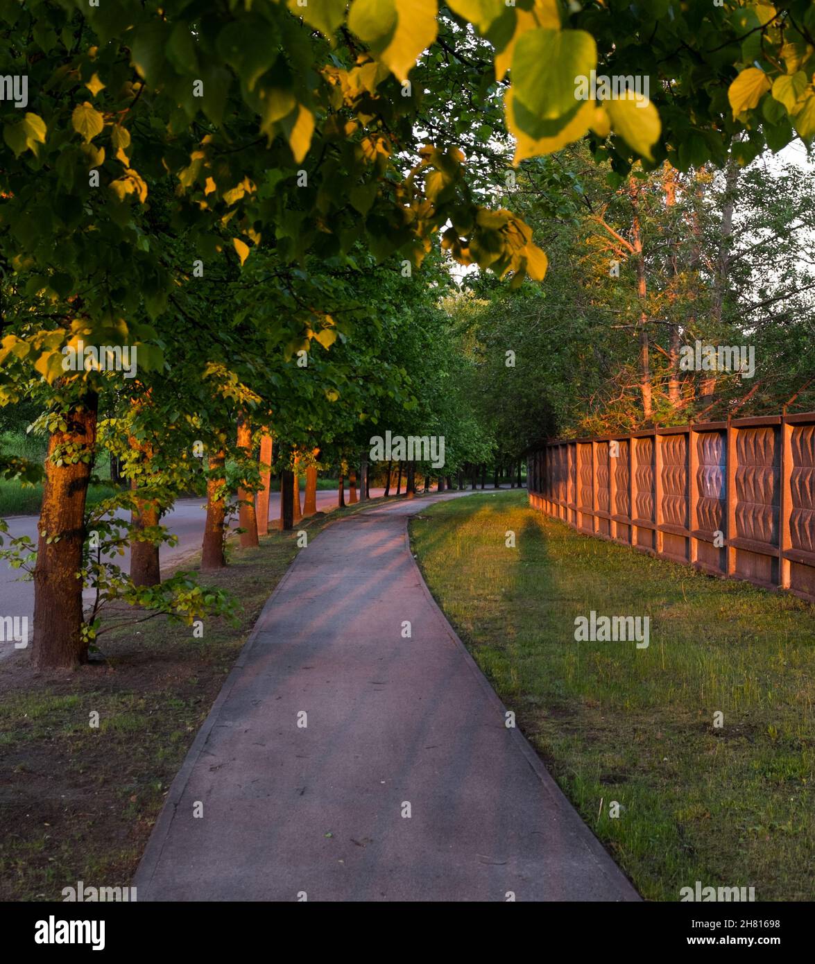 Lonely sunset road with green trees and concrete fence in warm light Stock Photo