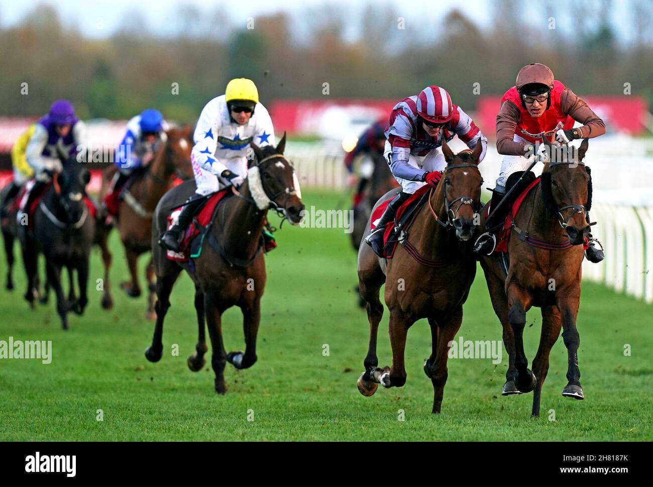 Dolphin Square ridden by jockey David Maxwell (right) on their way to winning the Play Ladbrokes 1-2-Free On Football Handicap Hurdle with Flemcara ridden by jockey Thomas Bellamy (second right) second and Eyeofthescorpion ridden by jockey Paddy Brennan third at Newbury Racecourse. Picture date: Friday November 26, 2021. See PA story RACING Newbury. Photo credit should read: Adam Davy/PA Wire. RESTRICTIONS: Use subject to restrictions. Editorial use only, no commercial use without prior consent from rights holder. Stock Photo