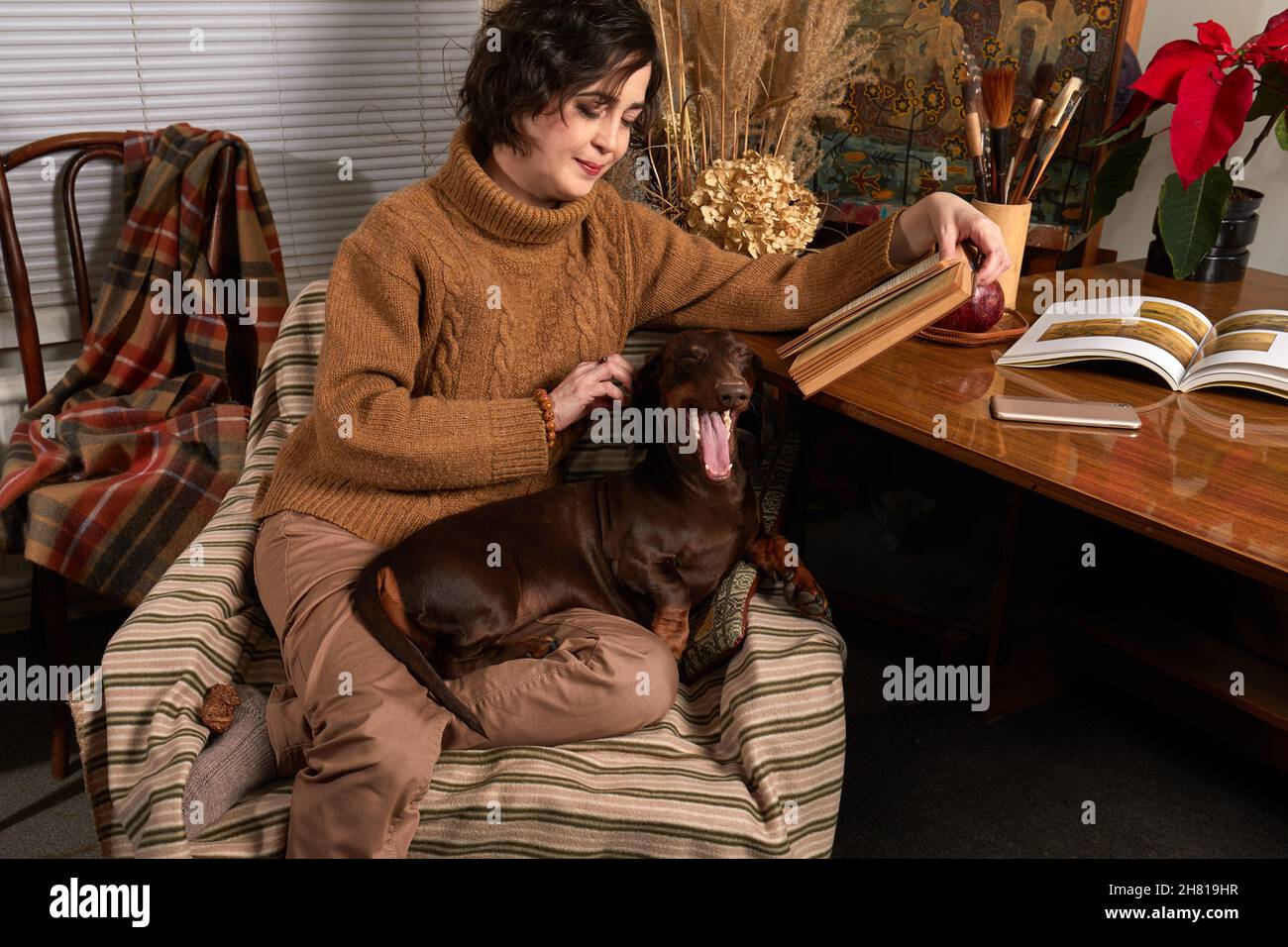 Young brown hair woman sits in armchair with her chocolate dachshund on knees and reads book. Stock Photo