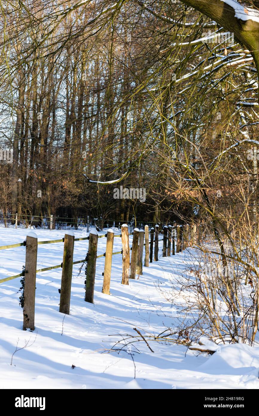 Wooden fence with trees in the winter forest Stock Photo - Alamy