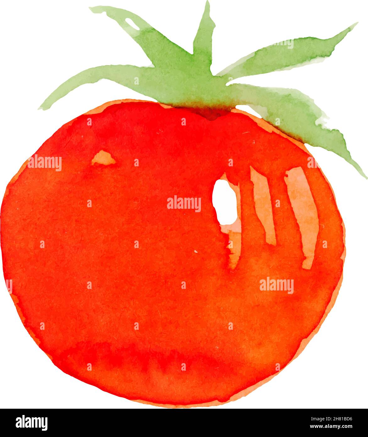 watercolor tomato vector. Red vegetables, natural food Stock Vector