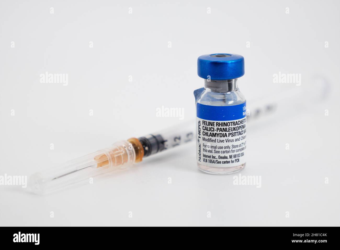 Feline rhinotracheitis hotsell calici panleukopenia vaccine